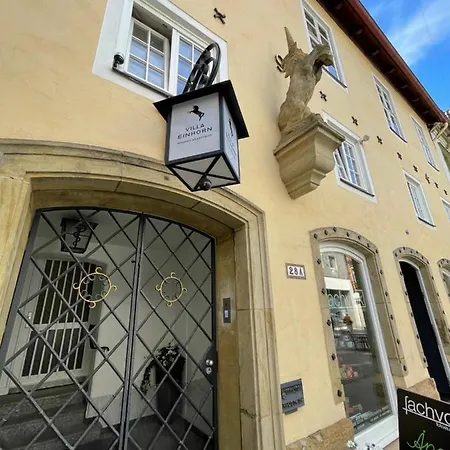 Villa Einhorn: Ruhe Oase Mitten Im Zentrum Goslar Eksteriør billede